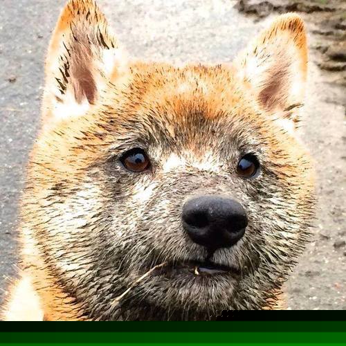 体育品牌合作新动态，NBA与大牌签约不断，体育品牌合作新动态,nba与大牌签约不断加入