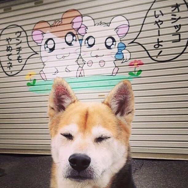 全国青少年“科技篮球”创新创业大赛在杭州盛大举行，推动行业革新