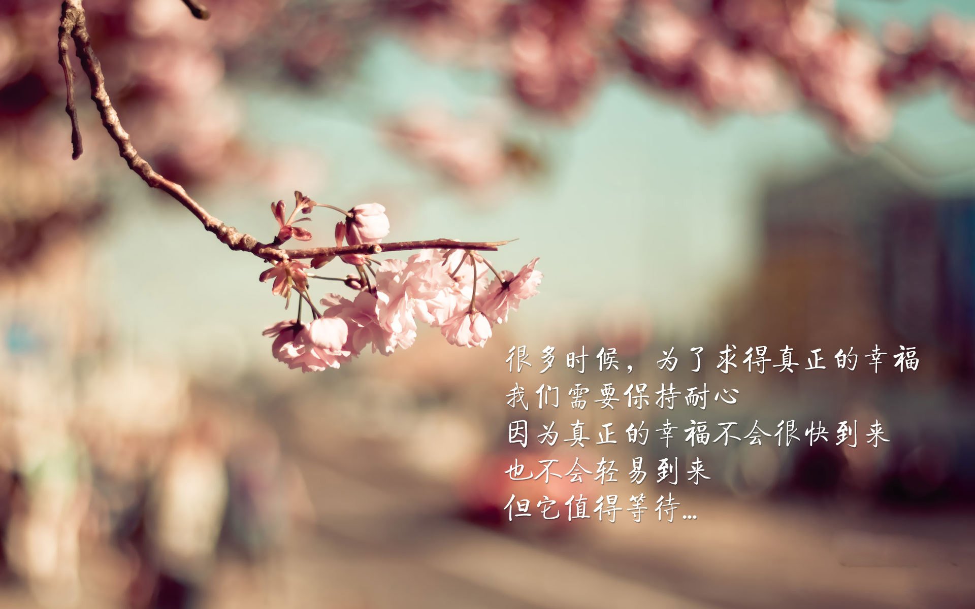 各队季后赛可能阵容曝光，谁将成为黑马？，季后赛各队战绩