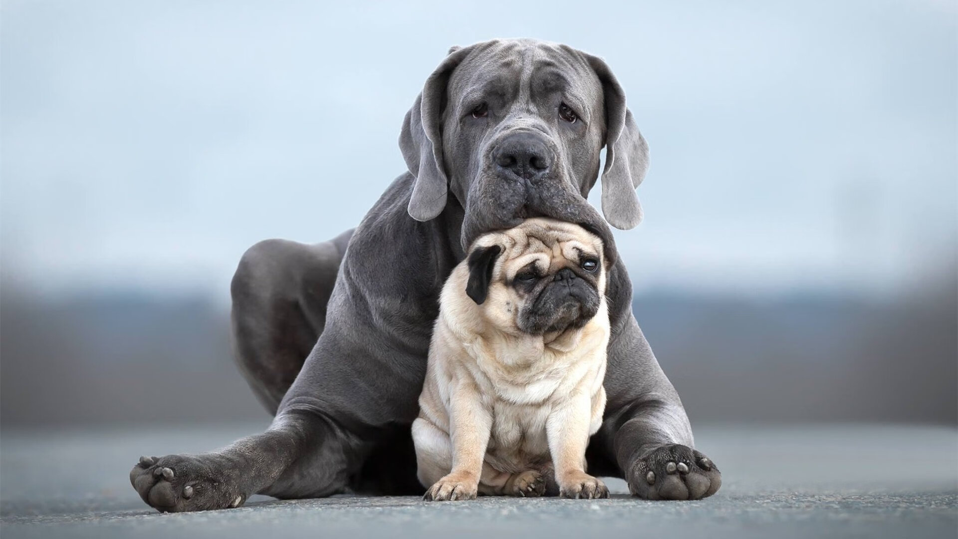 Jiu You-“意甲激战持续，传统强队展现统治力”，意甲体系