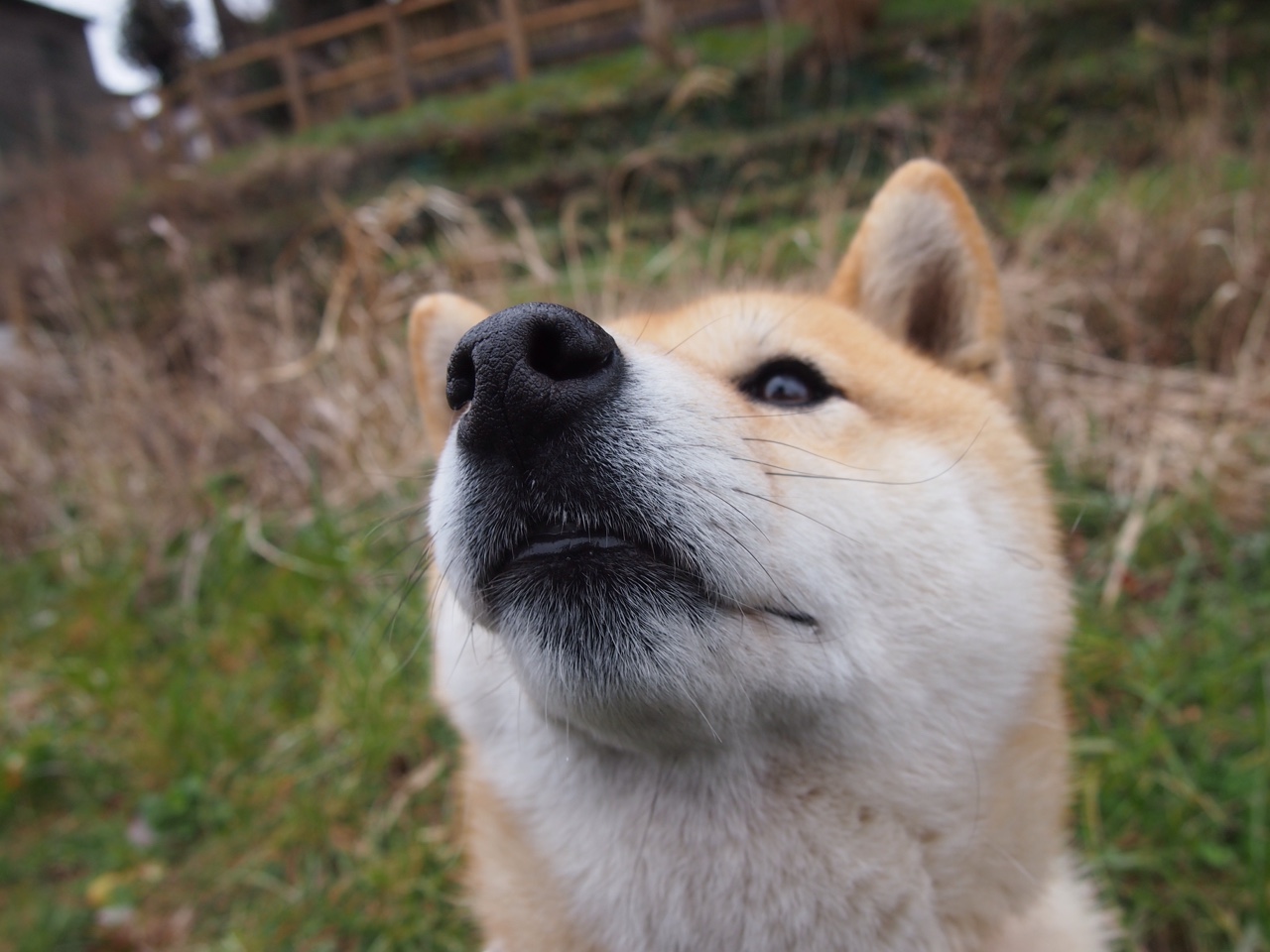 九游网页版官网-冠军教头的秘密：如何激发球队潜能？，冠军 教练